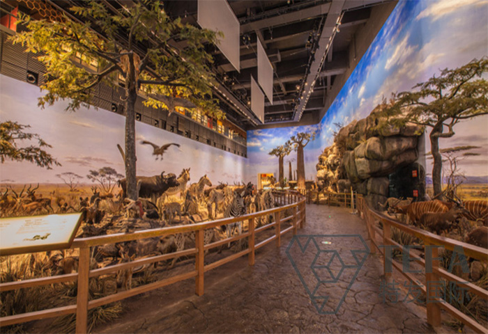 展廳設(shè)計(jì)|展館設(shè)計(jì)|規(guī)劃館設(shè)計(jì)|博物館設(shè)計(jì)|檔案館設(shè)計(jì)|企業(yè)展廳設(shè)計(jì)|主題游樂(lè)館設(shè)計(jì)|校園文化館設(shè)計(jì)|文博館設(shè)計(jì)|多媒體展廳|展廳展館設(shè)計(jì)施工公司|特發(fā)國(guó)際|特發(fā)