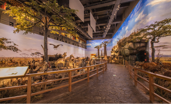 展廳設(shè)計(jì)|展館設(shè)計(jì)|規(guī)劃館設(shè)計(jì)|博物館設(shè)計(jì)|檔案館設(shè)計(jì)|企業(yè)展廳設(shè)計(jì)|主題游樂(lè)館設(shè)計(jì)|校園文化館設(shè)計(jì)|文博館設(shè)計(jì)|多媒體展廳|展廳展館設(shè)計(jì)施工公司|特發(fā)國(guó)際|特發(fā)